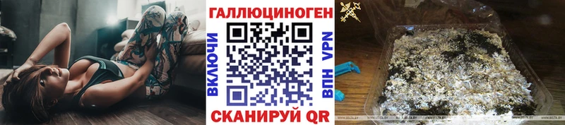 Купить  Перевоз  Псилоцибиновые грибы мицелий 
